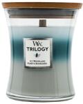 WoodWick Trilogy Medium Hourglass Candle Icy Woodland 275 g