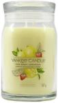 Yankee Candle Signature Large Jar Iced Berry Lemonade 567 g