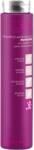 ING Coloring Anti-Yellow Shampoo 250 ml