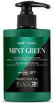 Black Professional Black Professional Crazy Toner Semi-permanent Hair Colour 300 ml vopsea semi-permanentă Mint Green