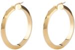 Guess Cercei Guess Hoops. . . I did it again rotunzi JUBE04194JWYGT-U