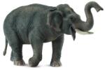 CollectA elefant asiatic (M1188486) Figurina