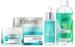 Eveline Cosmetics - Set cadou Eveline Niacinamide Clear Glow, Crema pentru ten cu imperfectiuni, 50 ml + Ser reparator lipidic cu ceramide, 6 Ceramide, 30 ml + Apa micelara Aloe Vera 3in1, 400 ml