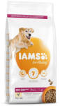 Iams Dog Senior Pui mare 3kg (1754-153902)
