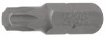 BGS technic Technic Behajtófej Hossz 30 mm Külső hatszögletű 8 mm (5/16") T-profil (Torx) T40 (BGS-8164) (BGS-8164)