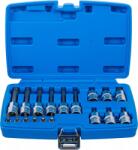 BGS technic Set biti 6, 3 mm (1 4 ) 12, 5 mm (1 2 ) Profil T (pentru Torx) cu gaura 18 piese (BGS 5174) (5174) Set capete bit, chei tubulare