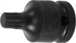 BGS technic Bit Spline (XZN) de impact M10 cu antrenare 1 2, (BGS 5487-M10) (5487-M10) Set capete bit, chei tubulare