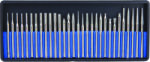 Raider 157708