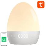 Gosund WiFi RGBW 16M Gosund LB2S Tuya smart night light (LB2S)