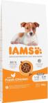 Iams Advanced Nutrition Puppy Junior Small Medium Chicken 12kg hrana cu pui pentru catei