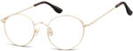 Berkeley ochelari de vedere 895E (SO 895E 49) Rama ochelari