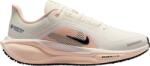 Nike Pegasus 41 GORE-TEX Futócipő fq1357-100 Méret 42, 5 EU