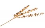 Chaks Eucalipt artificial - Rose glitter 61 cm