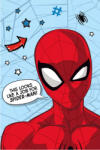 Marvel Pókember Star mikroflanel, plüss takaró 100x150cm
