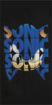 Sega Sonic a sündisznó fürdőlepedő, strand törölköző 70x137 cm (Fast Dry) Nr3