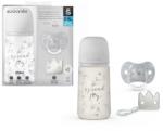 BabyJem Set cadou biberon 270ml + suzeta 0-6m + clema silver premium, spread joy, suavinex