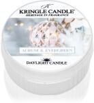 Kringle Candle Aurum & Evergreen teamécses 42 g