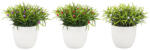 Bizzotto Set 3 plante artificiale 9.7x16 cm (0172802deco)