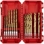 Milwaukee 4932493866 Burghiu