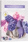 BISPOL Lumanari parfumate Bispol Aura - Violet Garden, 6 bucăți (p15-343)