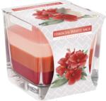 BISPOL Lumânare parfumată Bispol Aura - Hibiscus și salvie, 170 g (snk80-356)