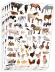 Playbox PlayBox: Abțibilduri cu animale de fermă, 300 de bucăți (2471104)