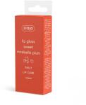 Ziaja Édes Mirabella szilva szájfény, 12 ml
