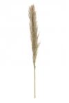 Chaks Iarbă de pampas - Natural 115 cm