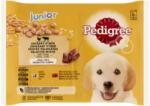 PEDIGREE Junior teljes értékű vegyes válogatás eledel kölyöknek rizzsel vagdalttal 4 x 100 g
