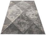 DY Covor modern gri Worma Dimensiuni: 120x170 cm Covor