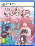 Whitethorn Games Calico (PS5)