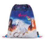 KARTON P+P OXY BAG (3-11924)