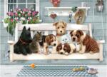 Cobble Hill 47006 - Porch Pals - 350 db-os Family puzzle (47006)
