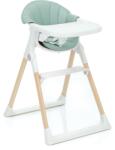 Fillikid Scaun de masa si sezlong Noah 2 in 1 Verde Fillikid (G2-04) Scaun de masa bebelusi, inaltator