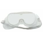 WERT Ochelari de protectie Wert 2730 (W2730)