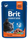 Brit premium pouch salmon sterilized 100 g 851