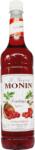 MONIN Sirop Rasberry ( Zmeura ) Pet 1L