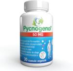 Justin Pharma Pycnogenol, 50 mg, 30 capsule vegetale, Justin Pharma