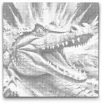  PontPöttyöző - Krokodil türkiz és narancs árnyalatokban Méret: 50x50cm, Keretezés: Kartonlemezen, Szín: Zöld