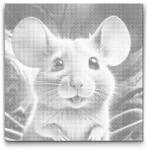  PontPöttyöző - Egér rózsaszín árnyalatokban Méret: 50x50cm, Keretezés: Kerek keret, Szín: Kék