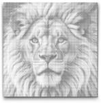  PontPöttyöző - Oroszlán rózsaszín árnyalatokban Méret: 50x50cm, Keretezés: Kartonlemezen, Szín: Fekete