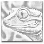  PontPöttyöző - Gyík rózsaszín árnyalatokban Méret: 50x50cm, Keretezés: Keret nélkül (csak a vászon), Szín: Kék