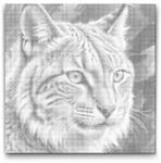  PontPöttyöző - Hiúz tompa zöld árnyalatokban Méret: 50x50cm, Keretezés: Kerek keret, Szín: Kék