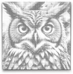  PontPöttyöző - Bagoly tompa zöld árnyalatokban Méret: 50x50cm, Keretezés: Kartonlemezen, Szín: Piros