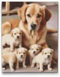  Gyémántszemes kirakó - Golden Retriever és kölykök Méret: 40x50cm, Keretezés: Kartonlemezen, Gyémántok: Négyzet alakú