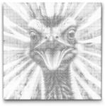  PontPöttyöző - Strucc vörös és kék árnyalatokban Méret: 50x50cm, Keretezés: Kerek keret, Szín: Kék