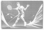  PontPöttyöző - Badminton Méret: 40x60cm, Keretezés: Keret nélkül (csak a vászon), Szín: Piros