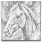  PontPöttyöző - Ló vörös és kék árnyalatokban Méret: 50x50cm, Keretezés: Kerek keret, Szín: Kék