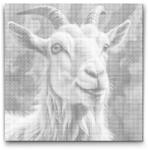  PontPöttyöző - Kecske türkiz és narancs árnyalatokban Méret: 50x50cm, Keretezés: Kerek keret, Szín: Kék