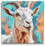  Festés számok szerint - Kecske türkiz és narancs árnyalatokban Méret: 50x50cm, Keretezés: Kerek keret